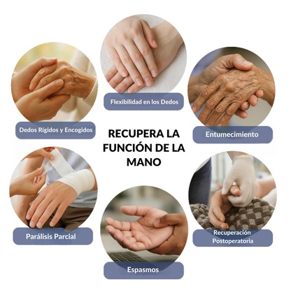 EverBloom™ Guante Robótico de Rehabilitación